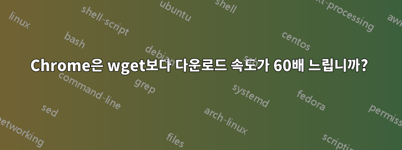 Chrome은 wget보다 다운로드 속도가 60배 느립니까?