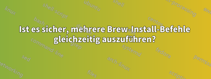 Ist es sicher, mehrere Brew-Install-Befehle gleichzeitig auszuführen?