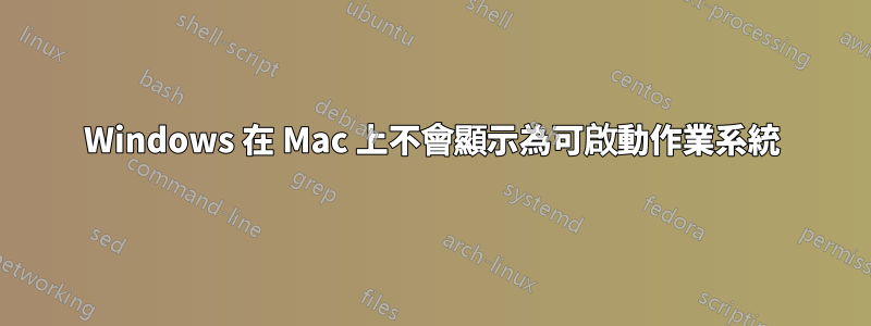 Windows 在 Mac 上不會顯示為可啟動作業系統