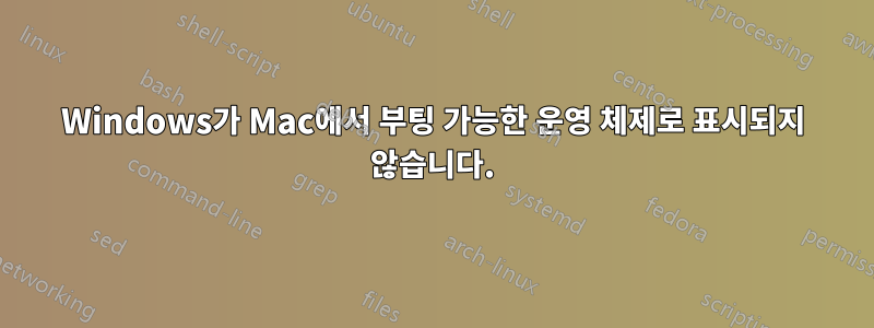 Windows가 Mac에서 부팅 가능한 운영 체제로 표시되지 않습니다.