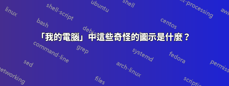 「我的電腦」中這些奇怪的圖示是什麼？