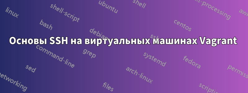 Основы SSH на виртуальных машинах Vagrant