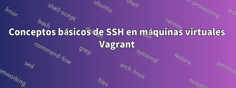 Conceptos básicos de SSH en máquinas virtuales Vagrant