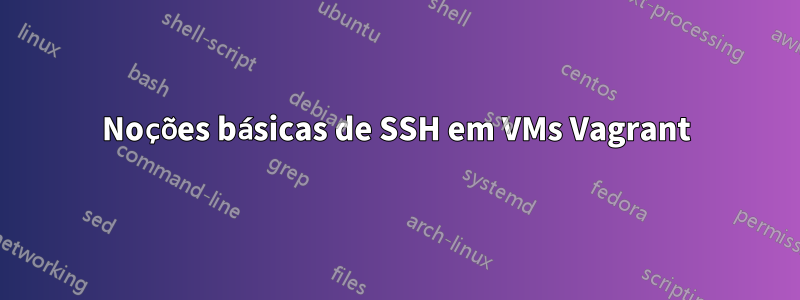 Noções básicas de SSH em VMs Vagrant