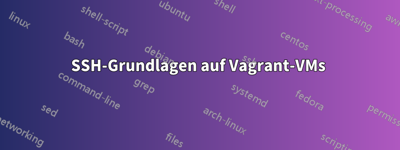 SSH-Grundlagen auf Vagrant-VMs