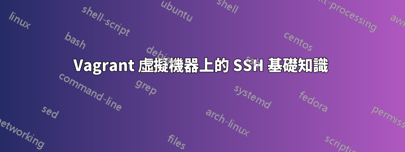 Vagrant 虛擬機器上的 SSH 基礎知識