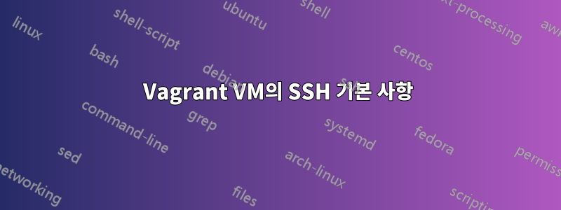 Vagrant VM의 SSH 기본 사항