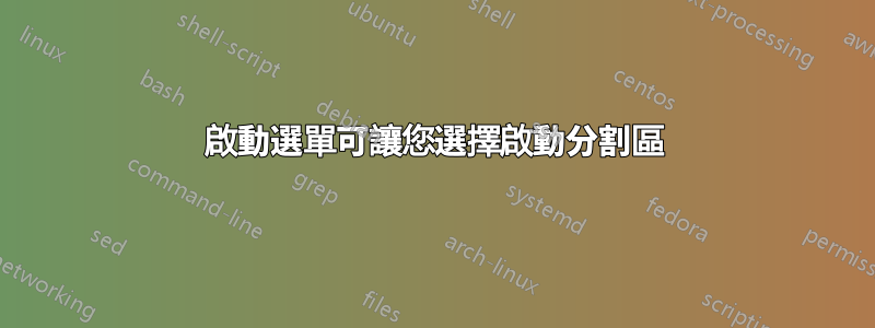 啟動選單可讓您選擇啟動分割區