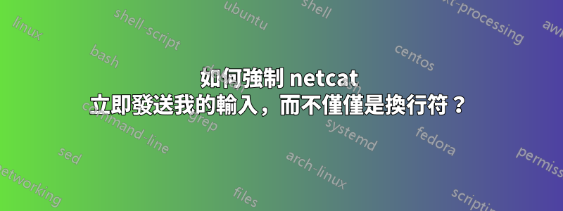 如何強制 netcat 立即發送我的輸入，而不僅僅是換行符？