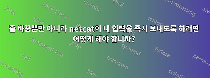 줄 바꿈뿐만 아니라 netcat이 내 입력을 즉시 보내도록 하려면 어떻게 해야 합니까?