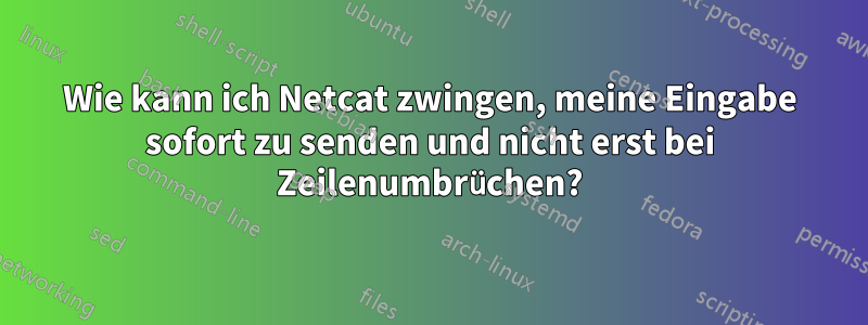 Wie kann ich Netcat zwingen, meine Eingabe sofort zu senden und nicht erst bei Zeilenumbrüchen?