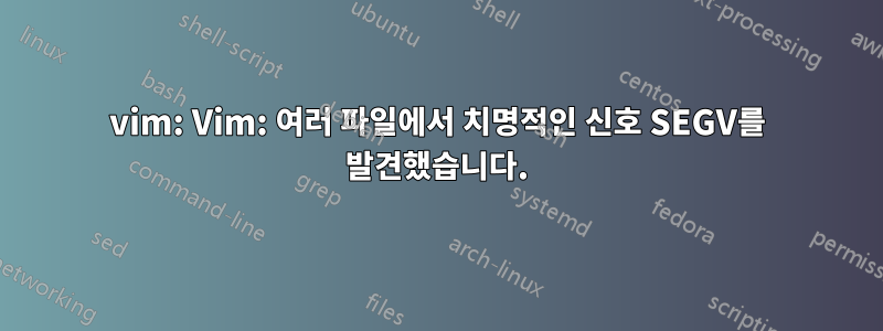 vim: Vim: 여러 파일에서 치명적인 신호 SEGV를 발견했습니다.