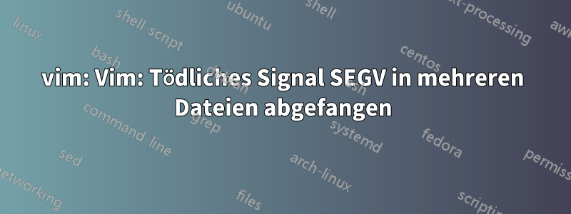 vim: Vim: Tödliches Signal SEGV in mehreren Dateien abgefangen