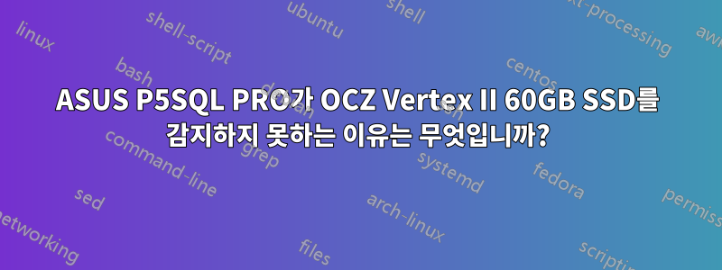 ASUS P5SQL PRO가 OCZ Vertex II 60GB SSD를 감지하지 못하는 이유는 무엇입니까?