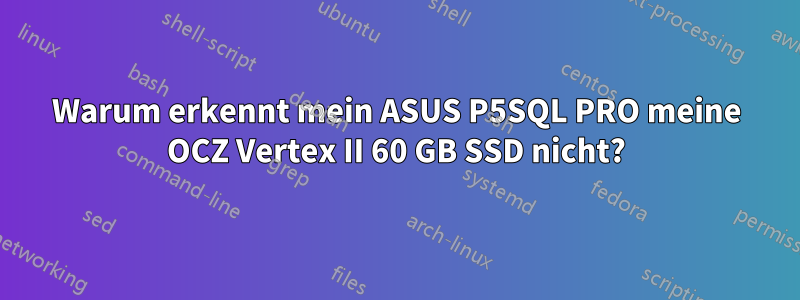 Warum erkennt mein ASUS P5SQL PRO meine OCZ Vertex II 60 GB SSD nicht?