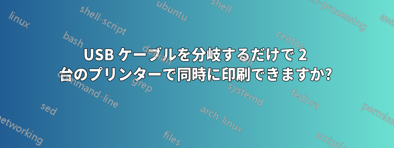 USB ケーブルを分岐するだけで 2 台のプリンターで同時に印刷できますか?