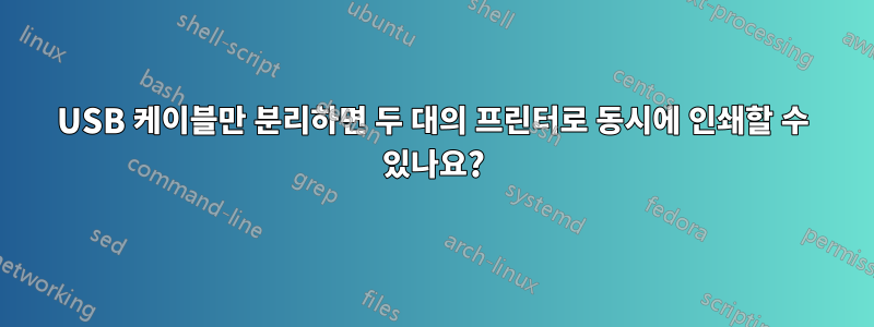 USB 케이블만 분리하면 두 대의 프린터로 동시에 인쇄할 수 있나요?