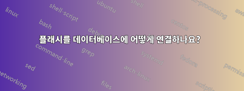 플래시를 데이터베이스에 어떻게 연결하나요? 