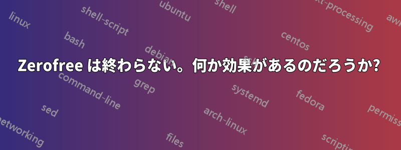 Zerofree は終わらない。何か効果があるのだろうか?