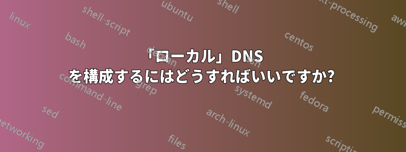 「ローカル」DNS を構成するにはどうすればいいですか?