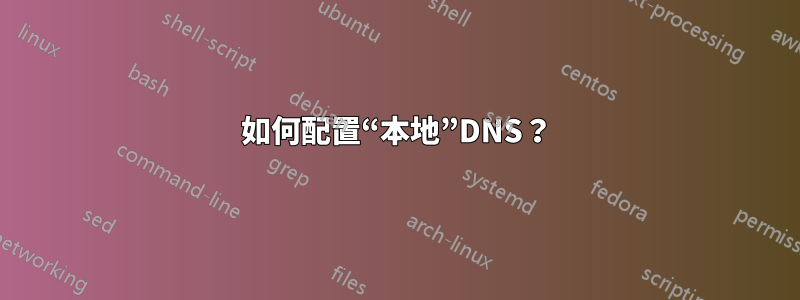 如何配置“本地”DNS？