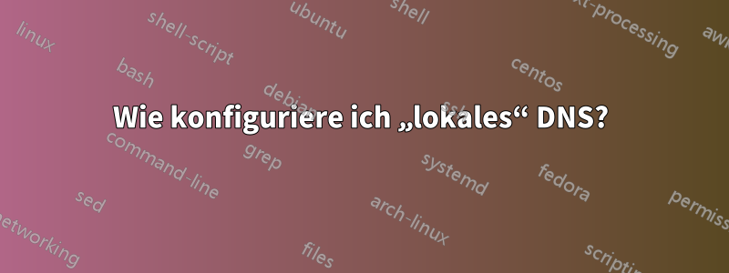 Wie konfiguriere ich „lokales“ DNS?