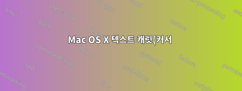 Mac OS X 텍스트 캐럿(커서)의 너비와 색상 변경