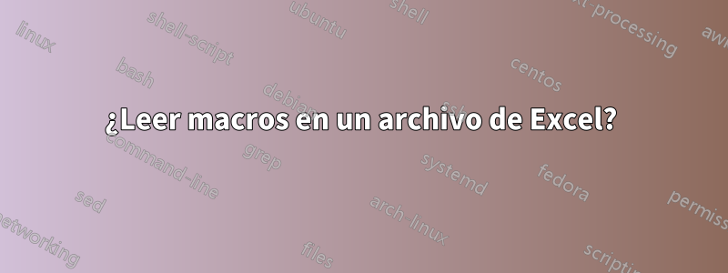 ¿Leer macros en un archivo de Excel?