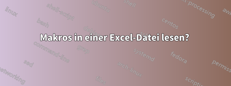 Makros in einer Excel-Datei lesen?