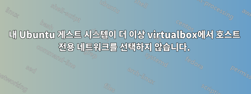 내 Ubuntu 게스트 시스템이 더 이상 virtualbox에서 호스트 전용 네트워크를 선택하지 않습니다.