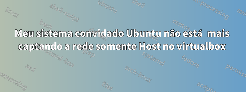 Meu sistema convidado Ubuntu não está mais captando a rede somente Host no virtualbox