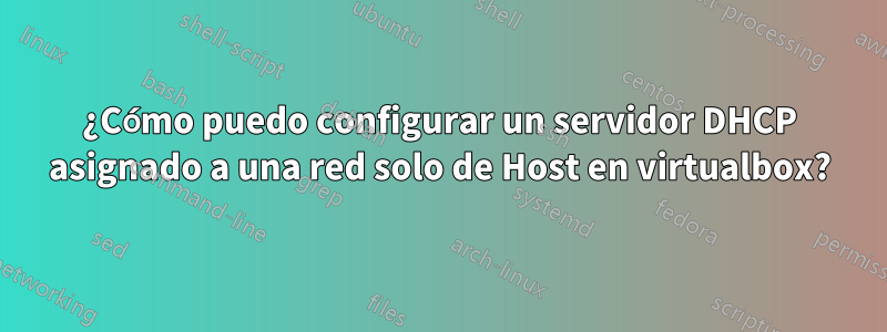 ¿Cómo puedo configurar un servidor DHCP asignado a una red solo de Host en virtualbox?