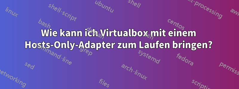 Wie kann ich Virtualbox mit einem Hosts-Only-Adapter zum Laufen bringen?