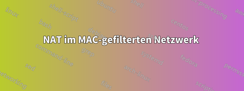 NAT im MAC-gefilterten Netzwerk