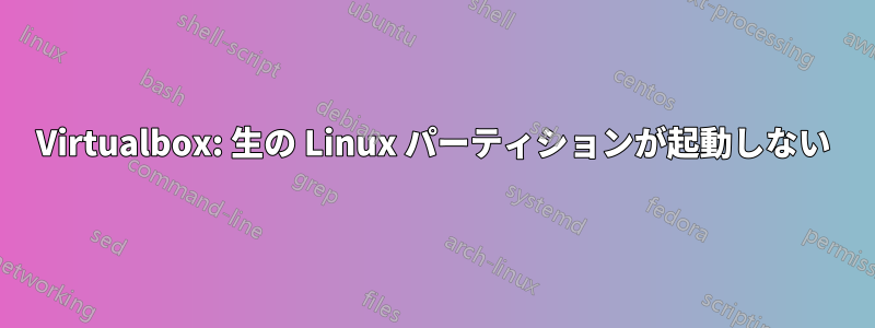 Virtualbox: 生の Linux パーティションが起動しない