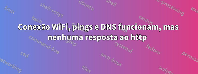 Conexão WiFi, pings e DNS funcionam, mas nenhuma resposta ao http 