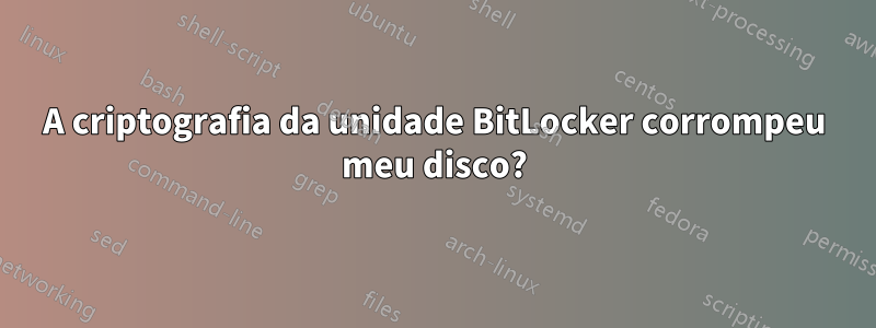 A criptografia da unidade BitLocker corrompeu meu disco?