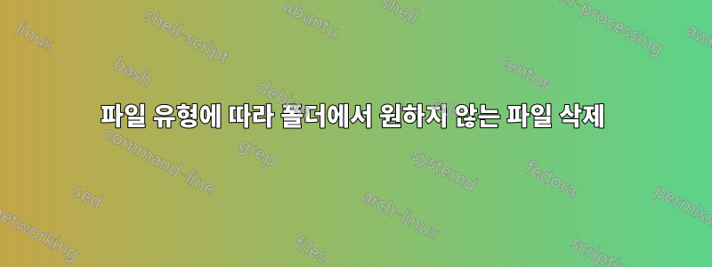 파일 유형에 따라 폴더에서 원하지 않는 파일 삭제