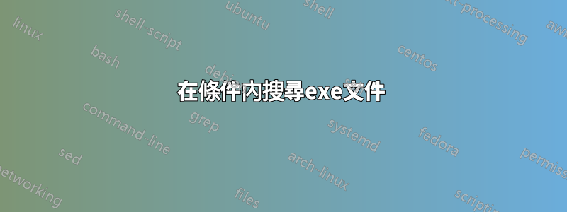 在條件內搜尋exe文件