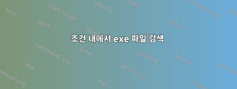 조건 내에서 exe 파일 검색