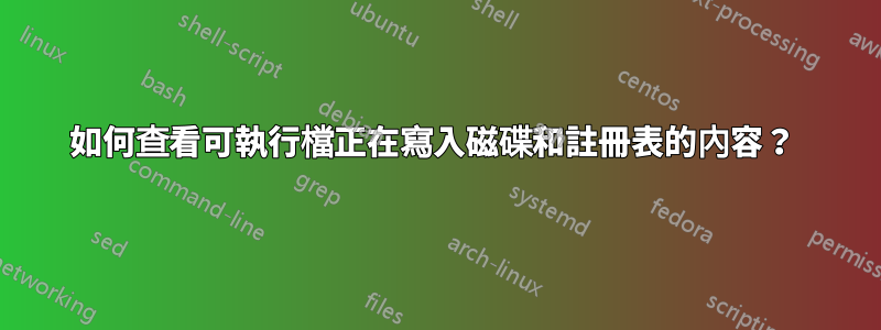 如何查看可執行檔正在寫入磁碟和註冊表的內容？ 