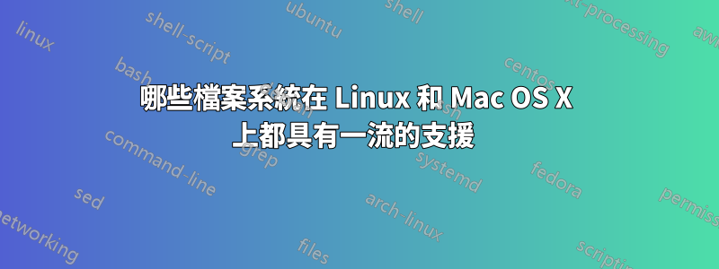 哪些檔案系統在 Linux 和 Mac OS X 上都具有一流的支援 