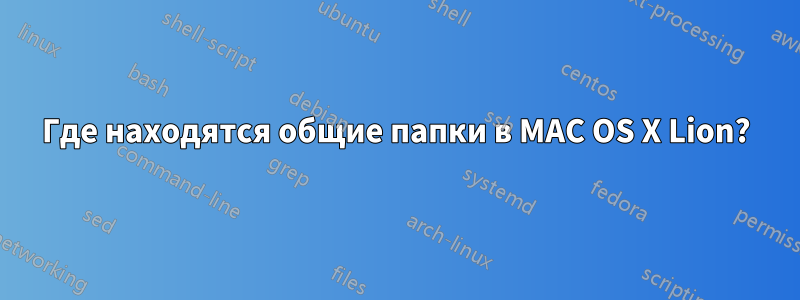 Где находятся общие папки в MAC OS X Lion?