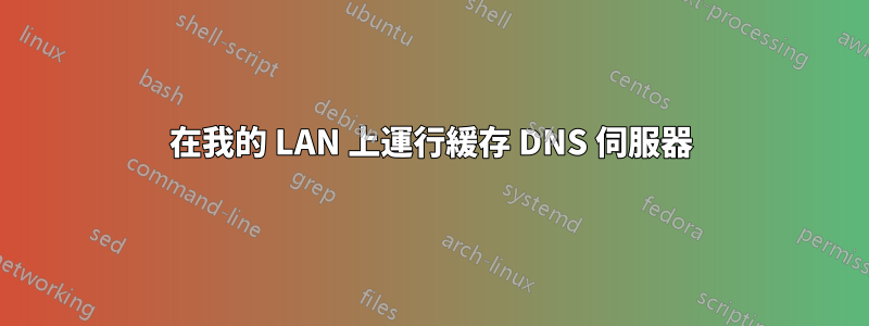 在我的 LAN 上運行緩存 DNS 伺服器