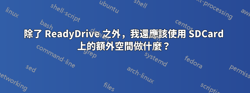 除了 ReadyDrive 之外，我還應該使用 SDCard 上的額外空間做什麼？