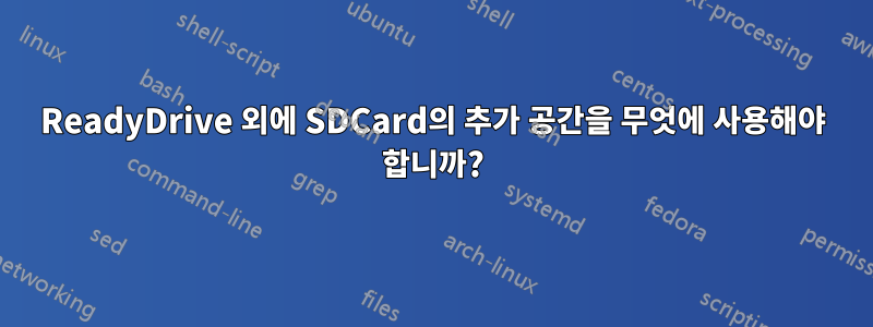 ReadyDrive 외에 SDCard의 추가 공간을 무엇에 사용해야 합니까?