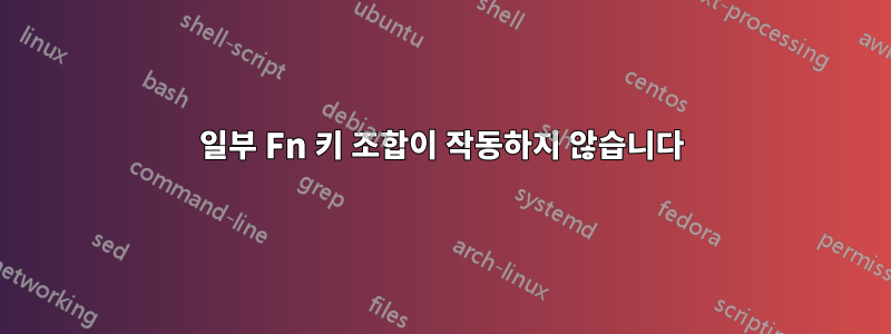 일부 Fn 키 조합이 작동하지 않습니다