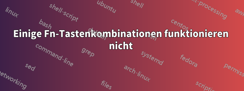 Einige Fn-Tastenkombinationen funktionieren nicht