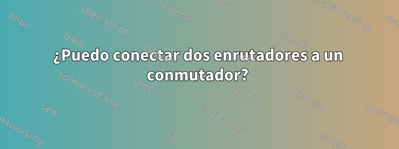 ¿Puedo conectar dos enrutadores a un conmutador?