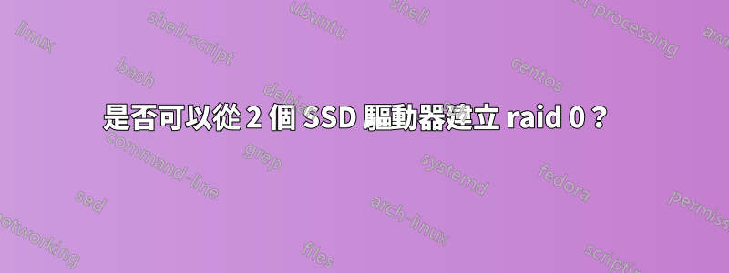 是否可以從 2 個 SSD 驅動器建立 raid 0？ 